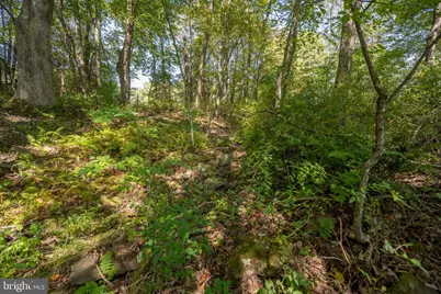 3348 & 3360 Cove Road, Accident, MD 21520 - Photo 23