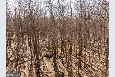 22 Elm Drive, Oakland, MD 21550 - Photo 5