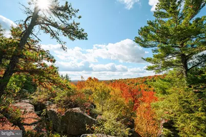 22 Elm Drive, Oakland, MD 21550 - Photo 15