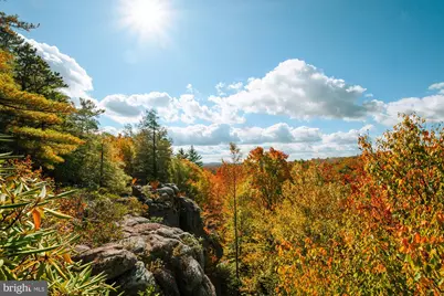 21 Bear Drive E, Oakland, MD 21550 - Photo 13