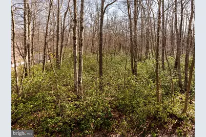 27 Gobbler Run Road, Oakland, MD 21550 - Photo 3