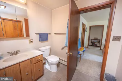 2332 Paradise Point Road, Oakland, MD 21550 - Photo 43