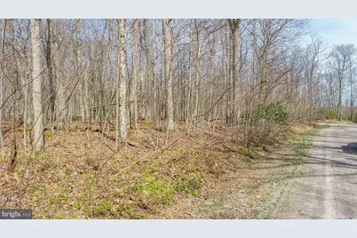 Lots 37 & 38 Fir Tree Drive, Oakland, MD 21550 - Photo 7