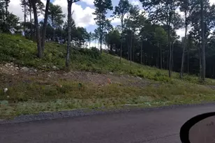 North Camp Rd, Mc Henry, MD 21541 - Photo 1