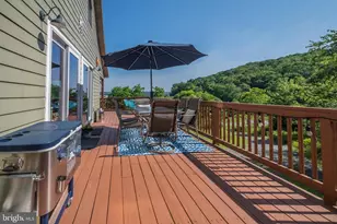 208 Smiley Face Ln, Mc Henry, MD 21541 - Photo 61