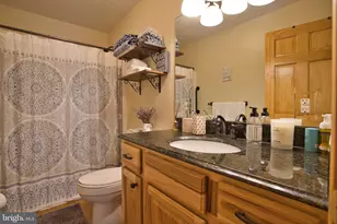 208 Smiley Face Ln, Mc Henry, MD 21541 - Photo 63