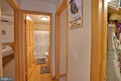 208 Smiley Face Lane, Mc Henry, MD 21541 - Photo 43