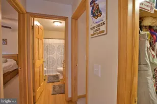 208 Smiley Face Ln, Mc Henry, MD 21541 - Photo 43