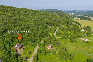 208 Smiley Face Ln, Mc Henry, MD 21541 - Photo 67