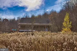 208 Smiley Face Ln, Mc Henry, MD 21541 - Photo 99