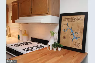 8956 Oakland Sang Run Road, Oakland, MD 21550 - Photo 51