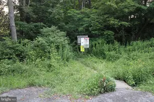 8956 Oakland Sang Run Rd, Oakland, MD 21550 - Photo 57