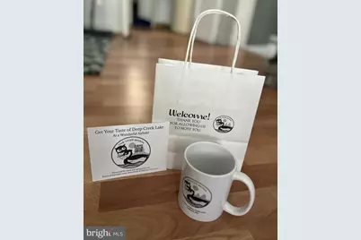 8956 Oakland Sang Run Road, Oakland, MD 21550 - Photo 67