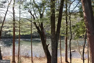 8956 Oakland Sang Run Rd, Oakland, MD 21550 - Photo 61