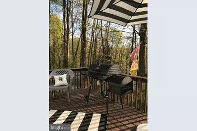 8956 Oakland Sang Run Road, Oakland, MD 21550 - Photo 9