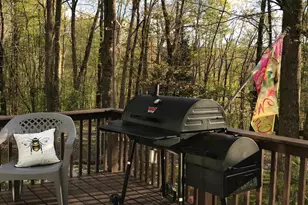 8956 Oakland Sang Run Rd, Oakland, MD 21550 - Photo 9