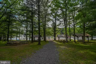 61 Frederick Cir, Swanton, MD 21561 - Photo 79