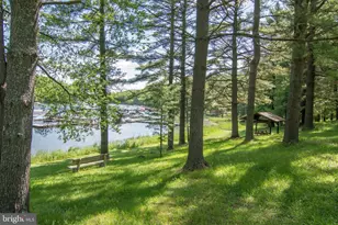 61 Frederick Cir, Swanton, MD 21561 - Photo 73