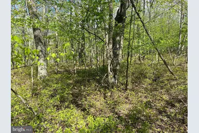 Betts Lane, Oakland, MD 21550 - Photo 7