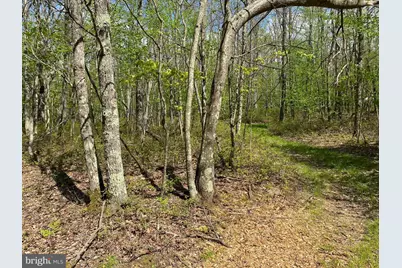 Betts Lane, Oakland, MD 21550 - Photo 3