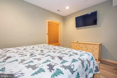 94 Sandy View Court, Mc Henry, MD 21541 - Photo 39