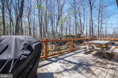 94 Sandy View Court, Mc Henry, MD 21541 - Photo 59