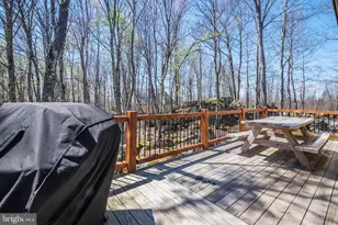 94 Sandy Vw Ct, Mc Henry, MD 21541 - Photo 59