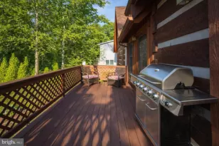 1204 Alexander Ln, Oakland, MD 21550 - Photo 59