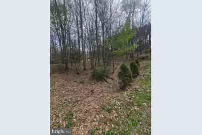 Lot 233 Cumberland, Oakland, MD 21550 - Photo 9
