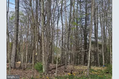 Lot 233 Cumberland, Oakland, MD 21550 - Photo 7