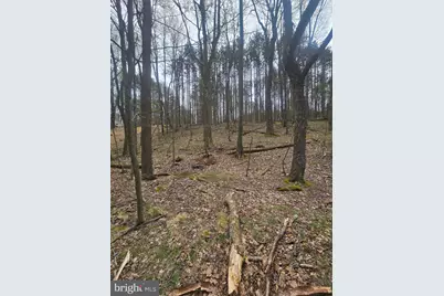 Lot 233 Cumberland, Oakland, MD 21550 - Photo 5