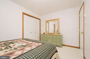 39 Leo Friend Rd, Oakland, MD 21550 - Photo 53