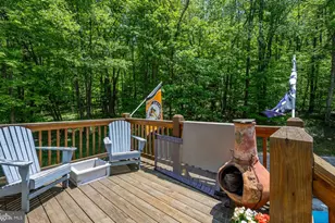 2250 Hoyes Run Rd, Mc Henry, MD 21541 - Photo 69