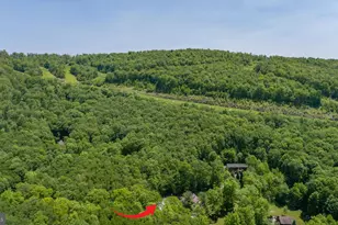 2250 Hoyes Run Rd, Mc Henry, MD 21541 - Photo 93