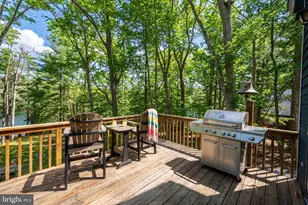 340 S Shore Rd, Swanton, MD 21561 - Photo 53
