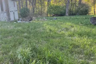 3482 Oakland Sang Run Rd, Oakland, MD 21550 - Photo 5