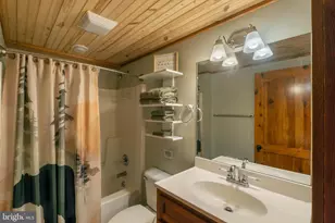 247 Sloan Tract Rd, Oakland, MD 21550 - Photo 23