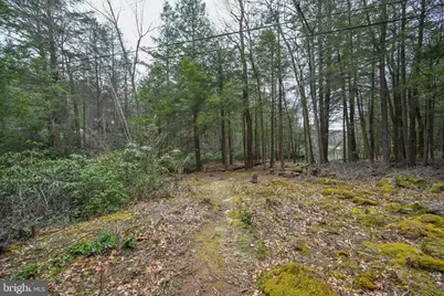 285 Lakeshore Drive, Oakland, MD 21550 - Photo 43