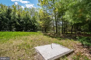 32 Monastery Way, Swanton, MD 21561 - Photo 3
