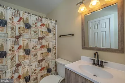 32 Monastery Way, Swanton, MD 21561 - Photo 47