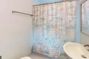 239 Hampshire St, Bloomington, MD 21523 - Photo 33