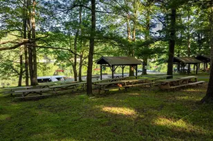392 Deer Run Ln, Swanton, MD 21561 - Photo 69