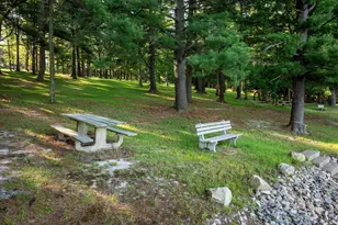 392 Deer Run Ln, Swanton, MD 21561 - Photo 63