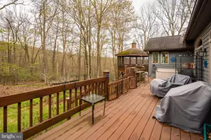 398 Snow Bird Ln, Swanton, MD 21561 - Photo 63