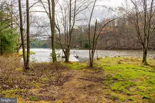398 Snow Bird Ln, Swanton, MD 21561 - Photo 75