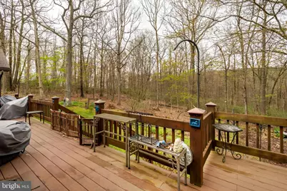 398 Snowbird Lane, Swanton, MD 21561 - Photo 67