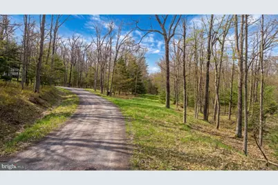 Lot 11 Poland Heights Lane, Swanton, MD 21561 - Photo 9