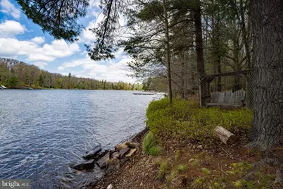 389 Sawmill Hollow Road, Swanton, MD 21561 - Photo 47