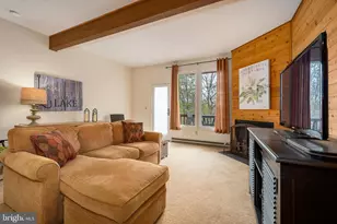 58 Bright Passage, Mc Henry, MD 21541 - Photo 17