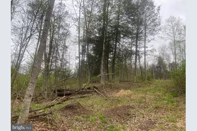 0 Gnegy Church Road, Oakland, MD 21550 - Photo 25